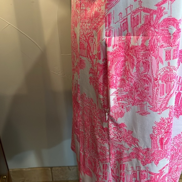 NWT Lilly Pulitzer Frida Scallop Polo Dress PB Anniversary Toile Size L - Picture 3 of 7